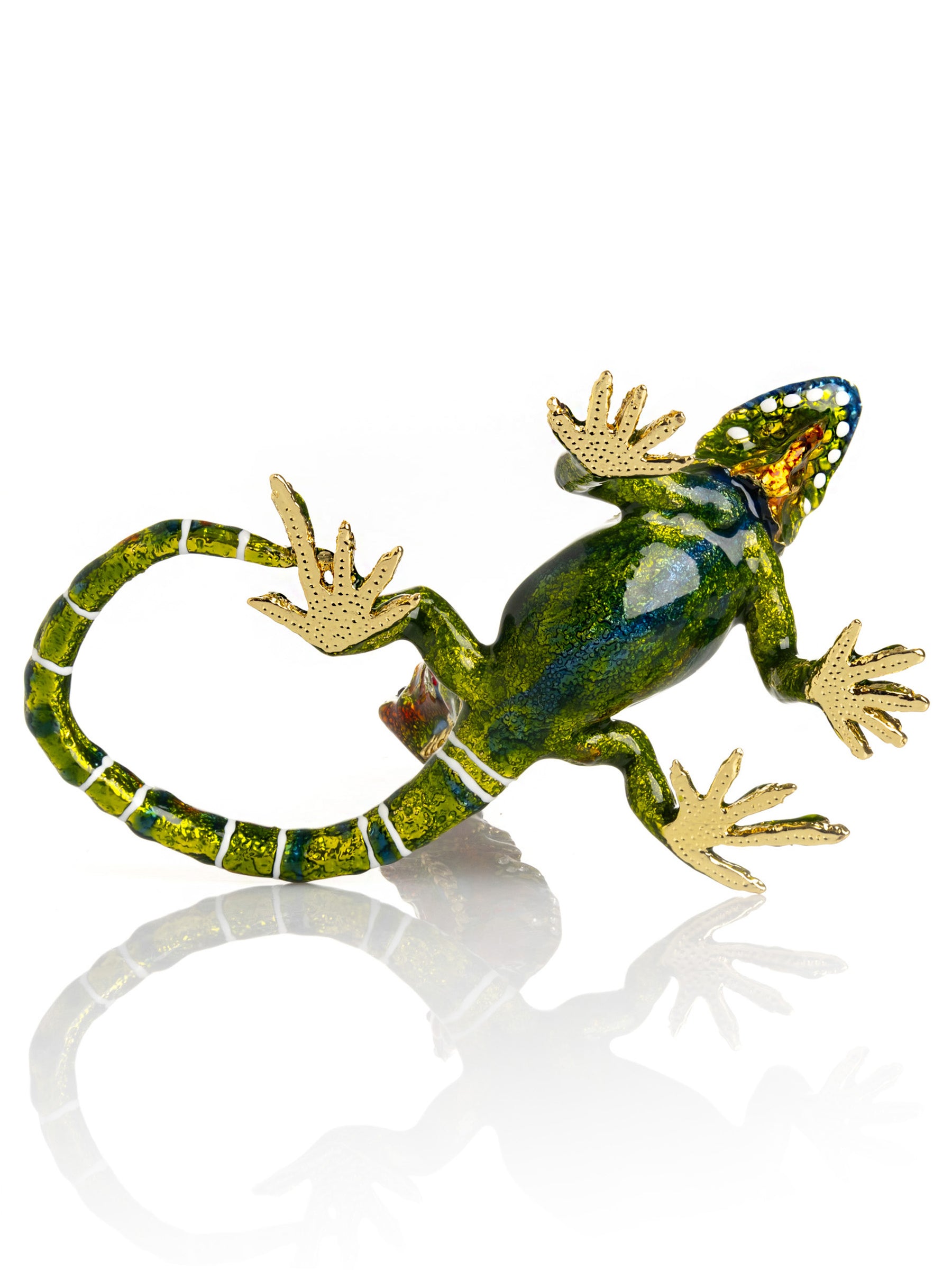 Grüner Leguan