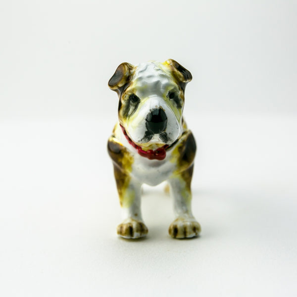 Bouledogue Français
