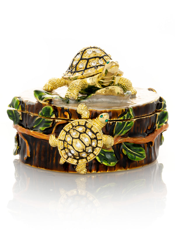 Tortues sur Tronc d'Arbre