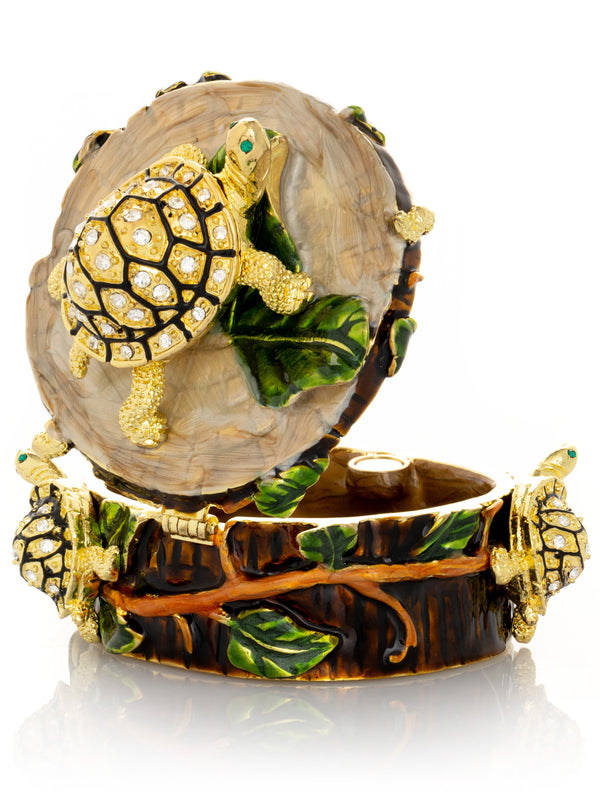 Tortues sur Tronc d'Arbre