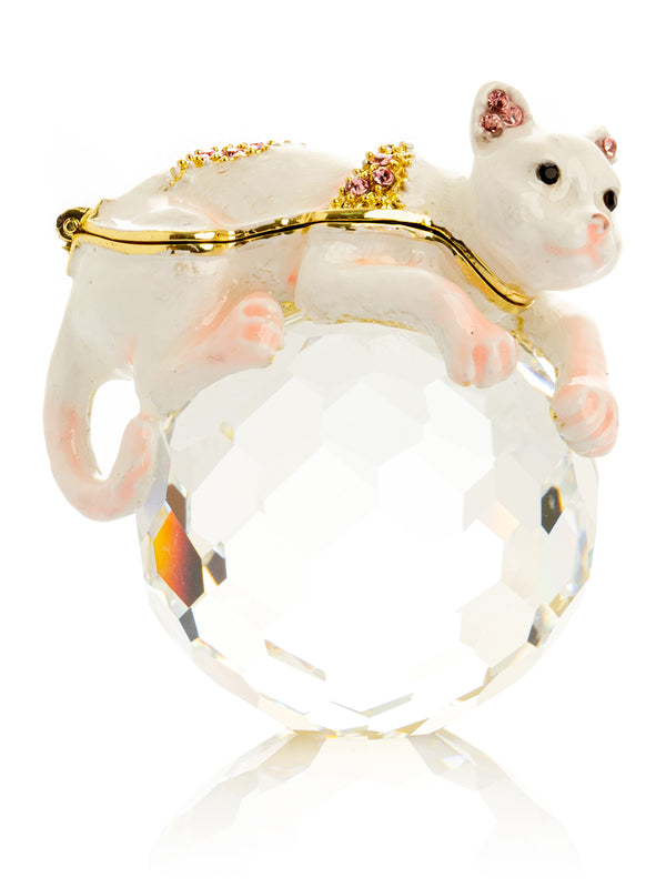 Chat Blanc sur Cristal