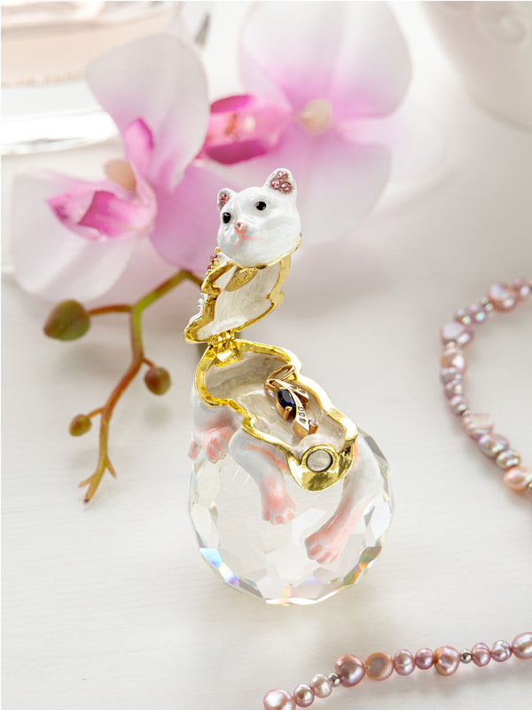 Chat Blanc sur Cristal