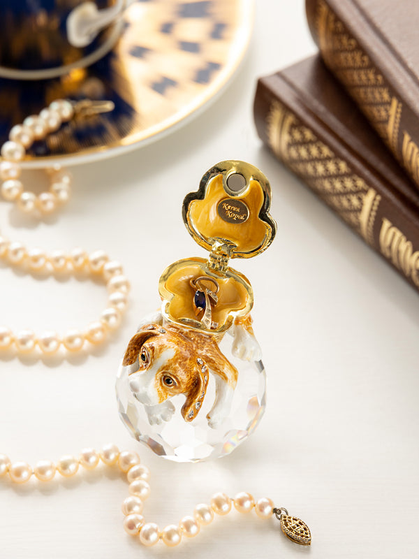 Chiot Brun sur Cristal