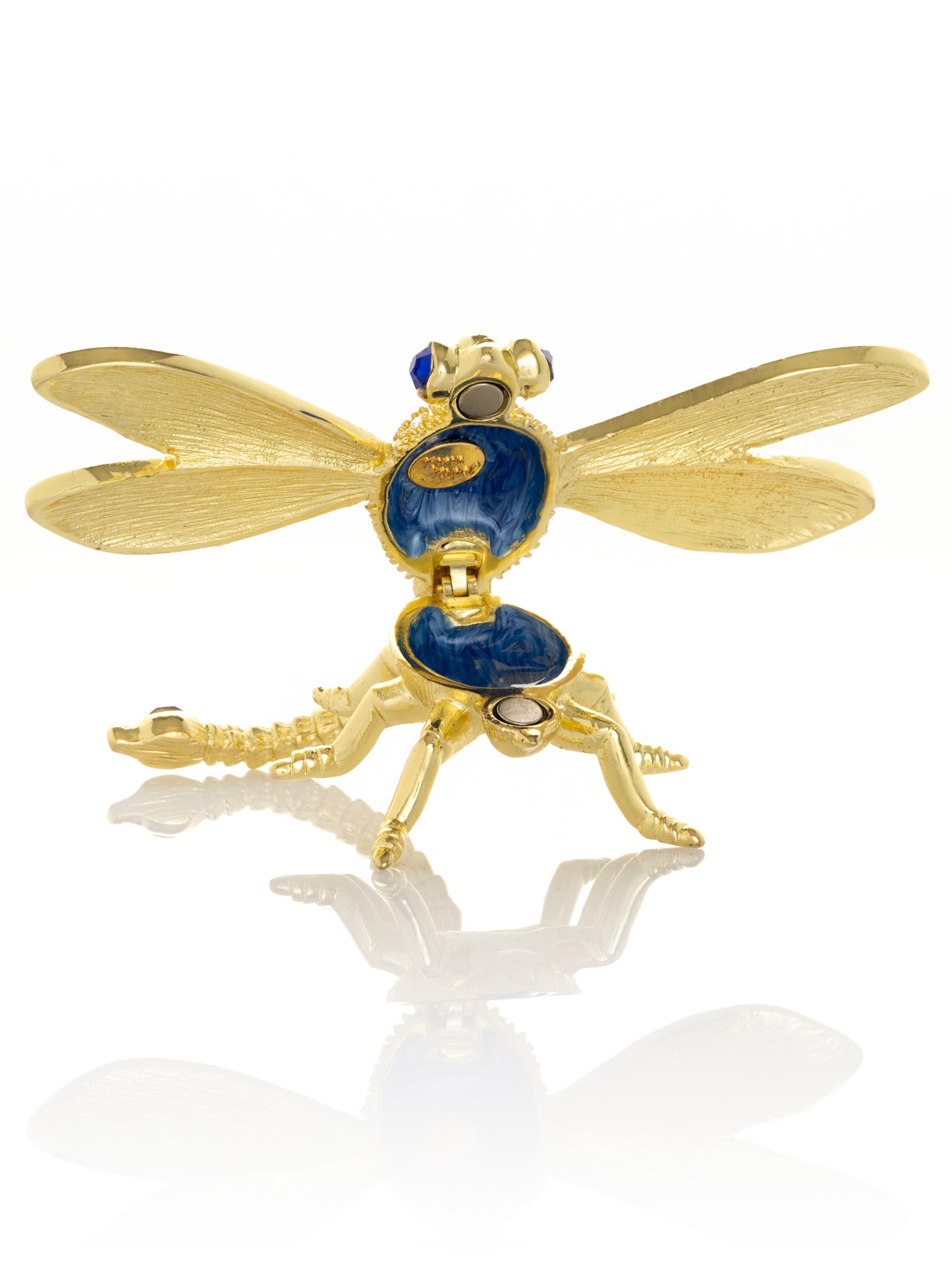 Golden Blue Dragonfly