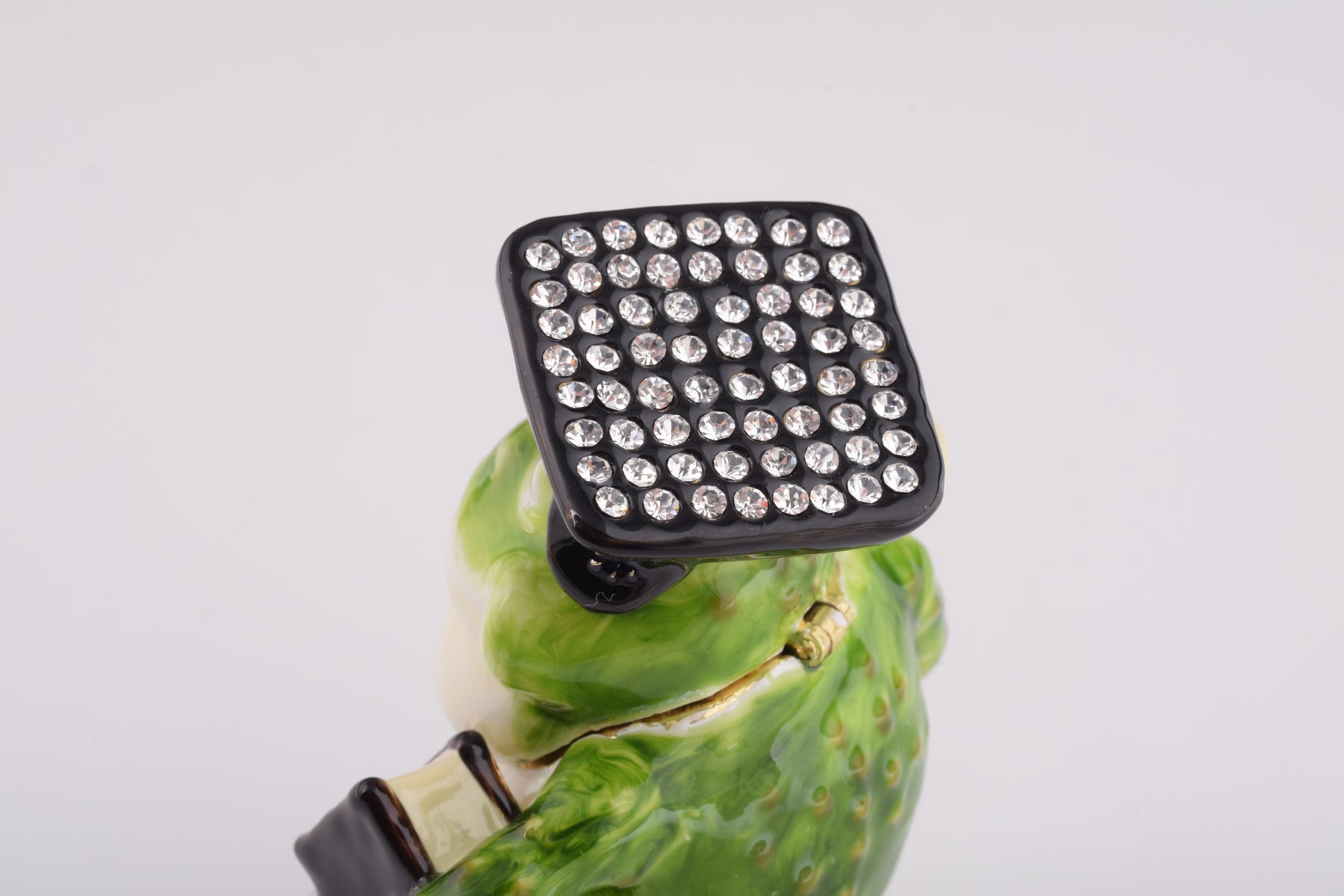 Keren Kopal Frog Graduating Student