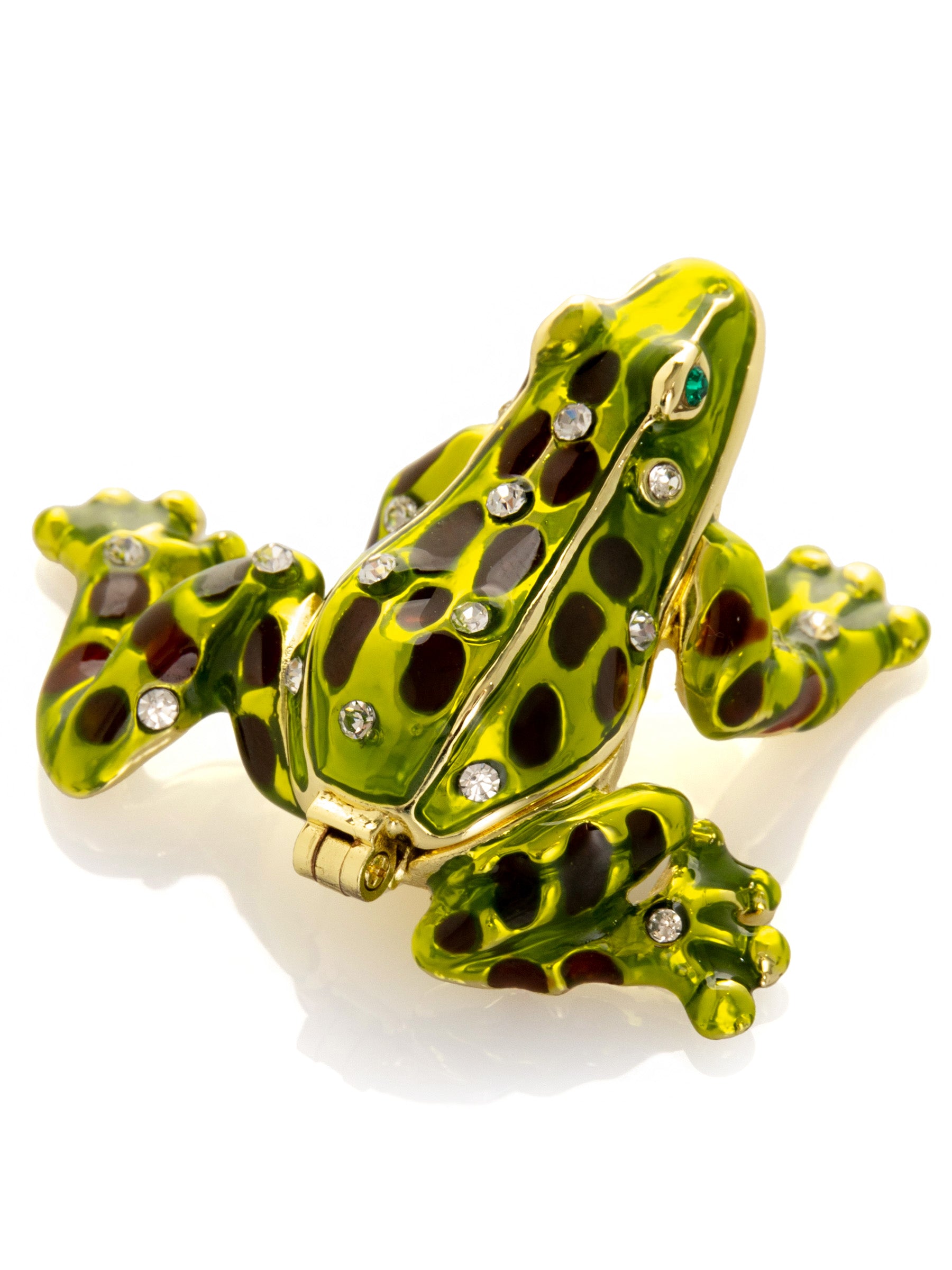 Green Black Spotted Frog