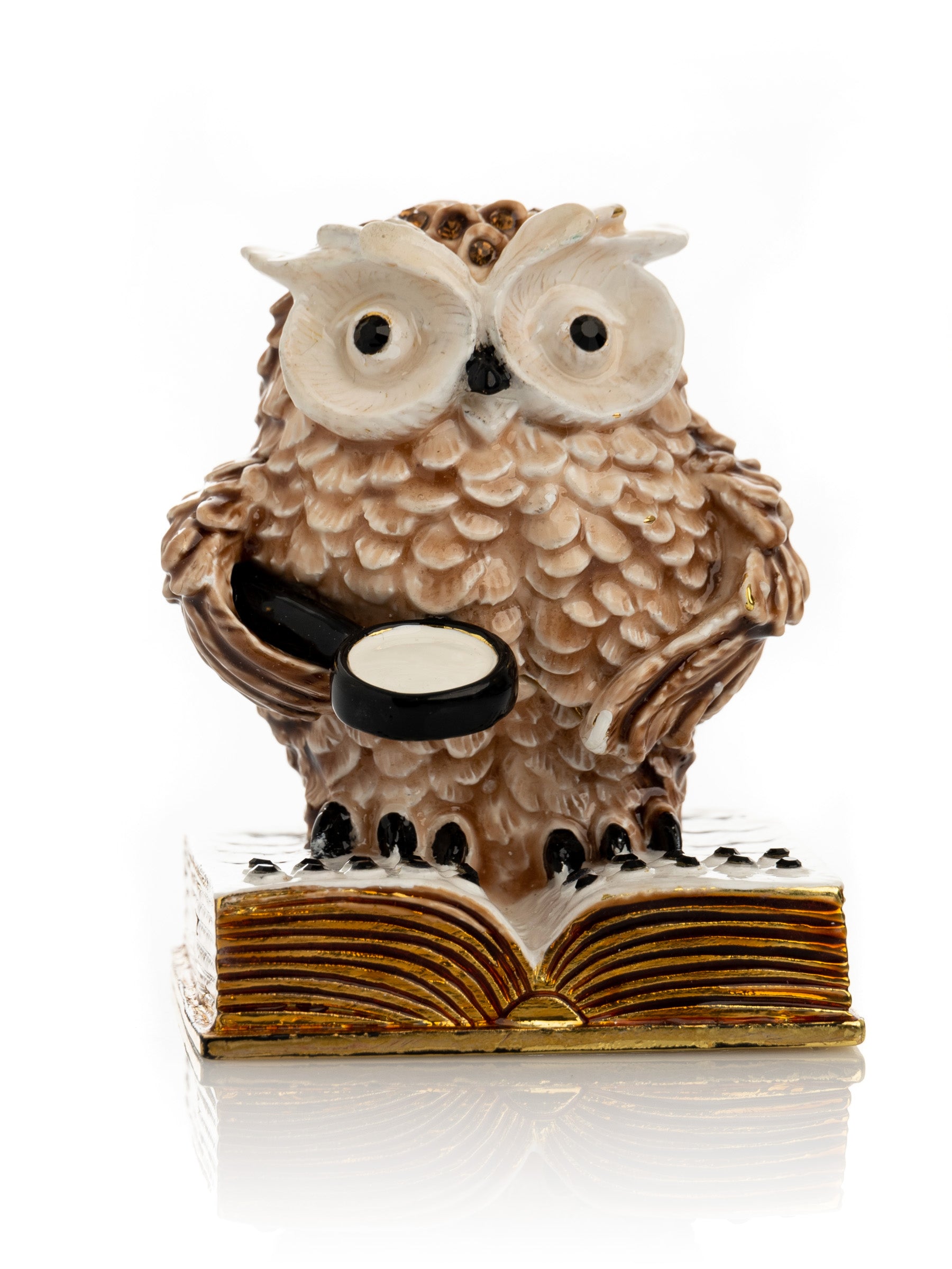 Keren Kopal Owl Reading a Book