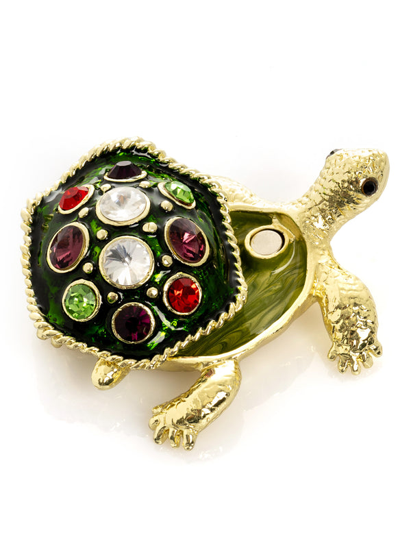 Tortue Dorée à Carapace Verte