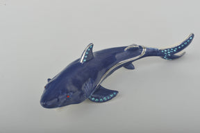 Blue Shark