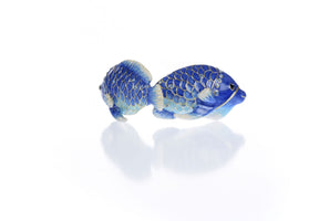 Blue Rainbowfish Fish trinket box