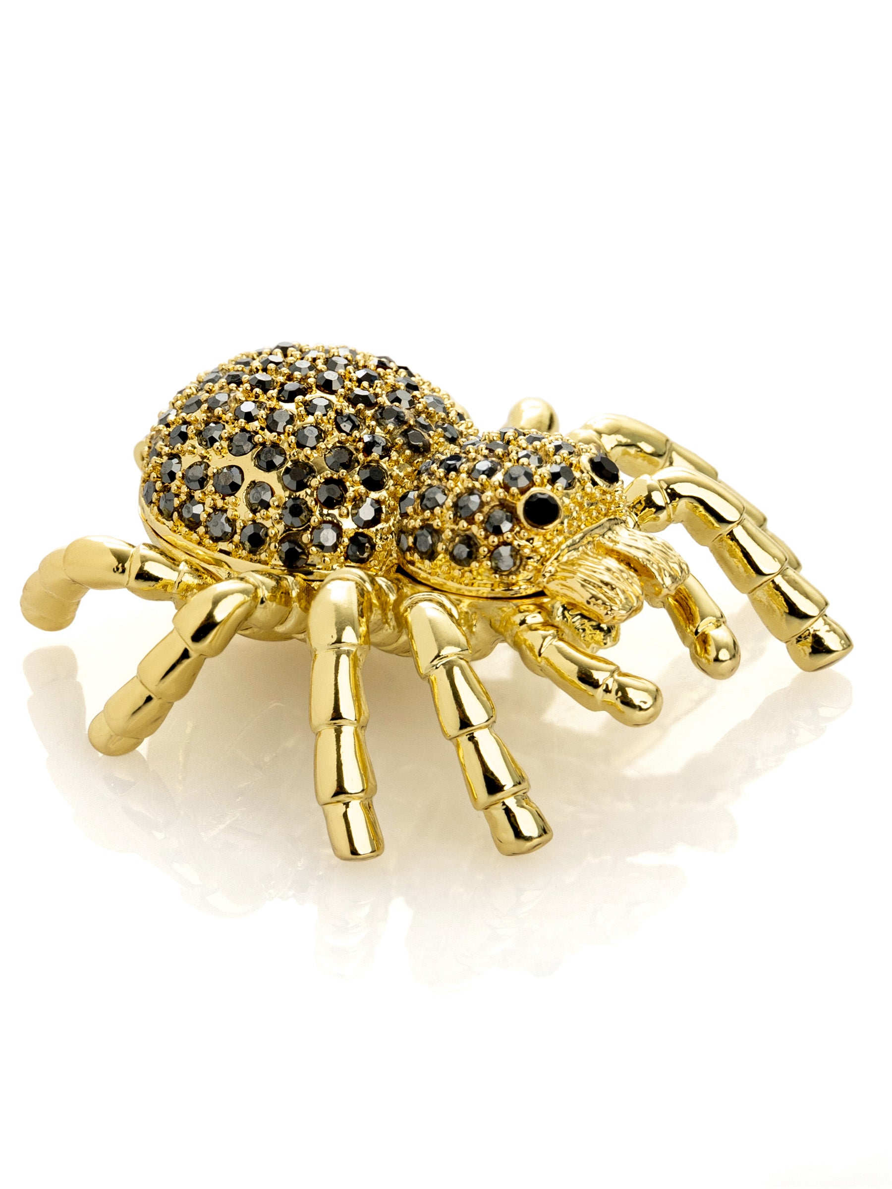 Gold & Black Tarantula Spider