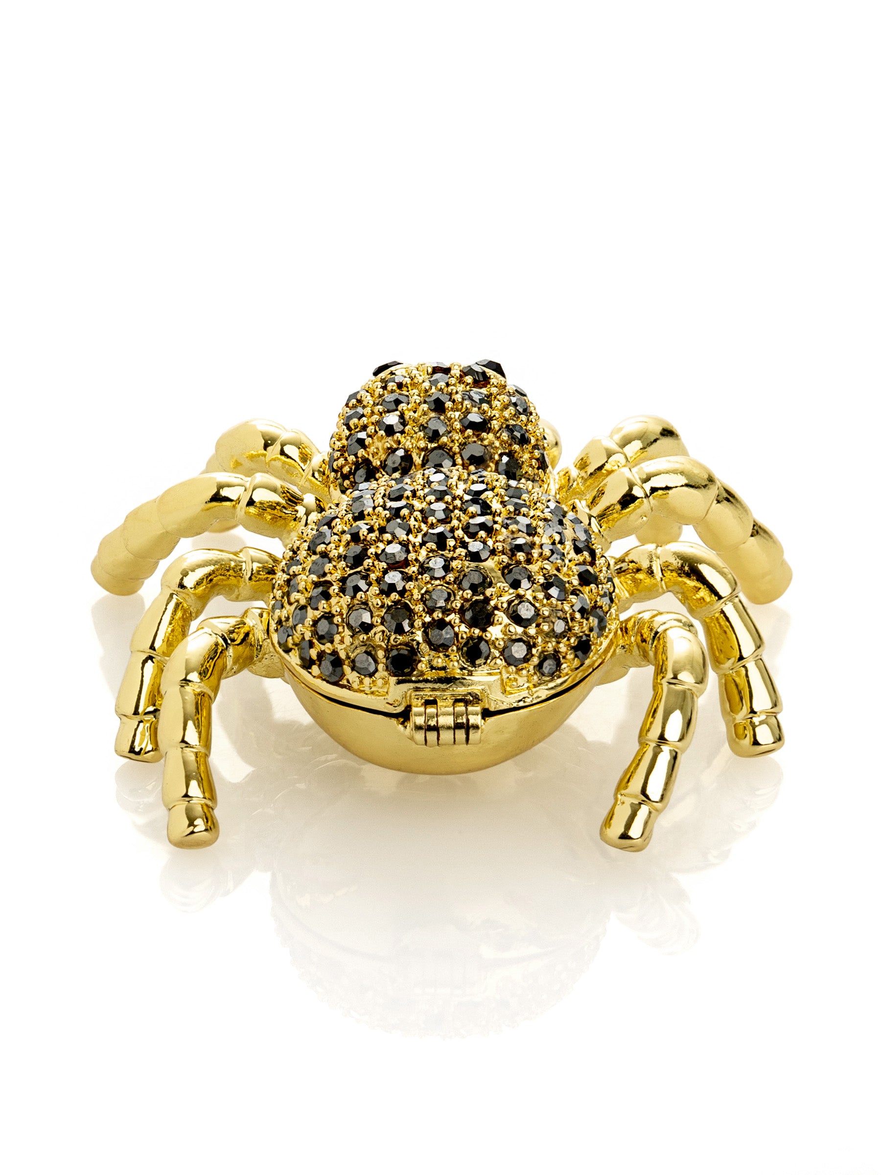 Gold & Black Tarantula Spider