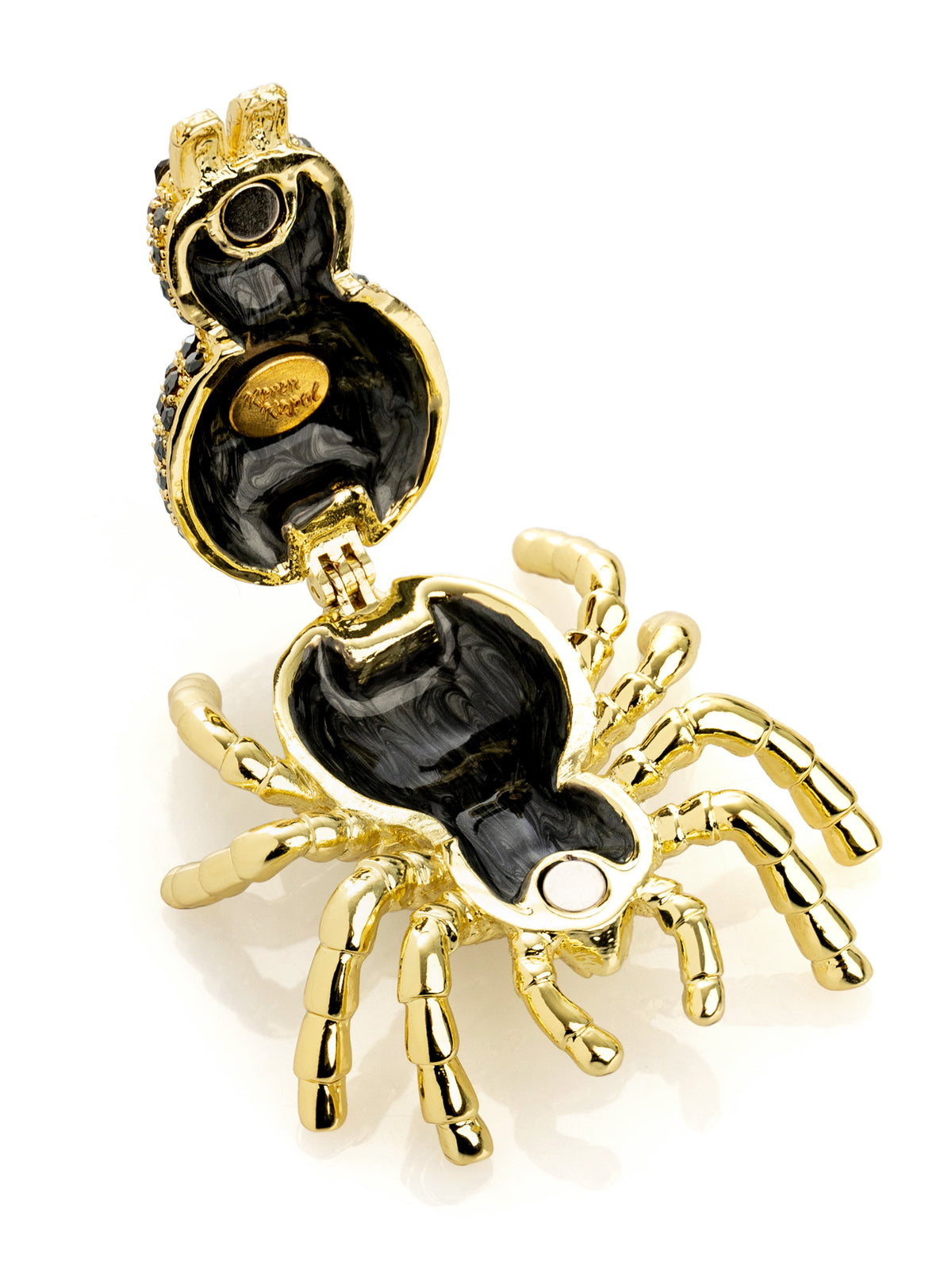 Gold & Black Tarantula Spider