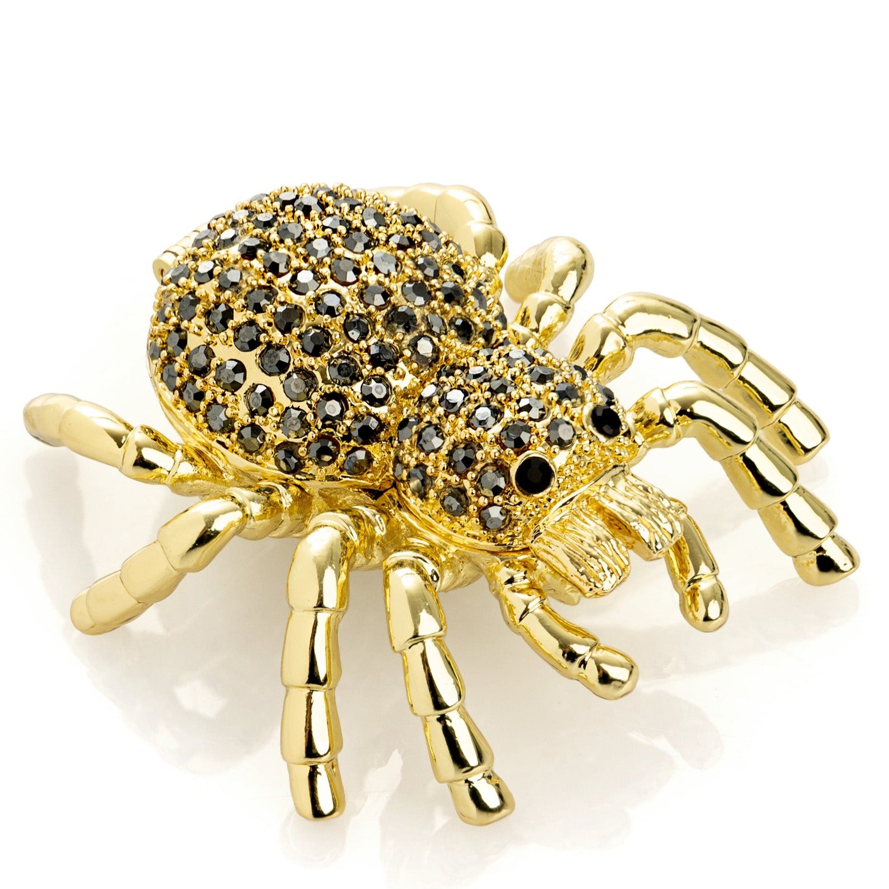 Gold & Black Tarantula Spider