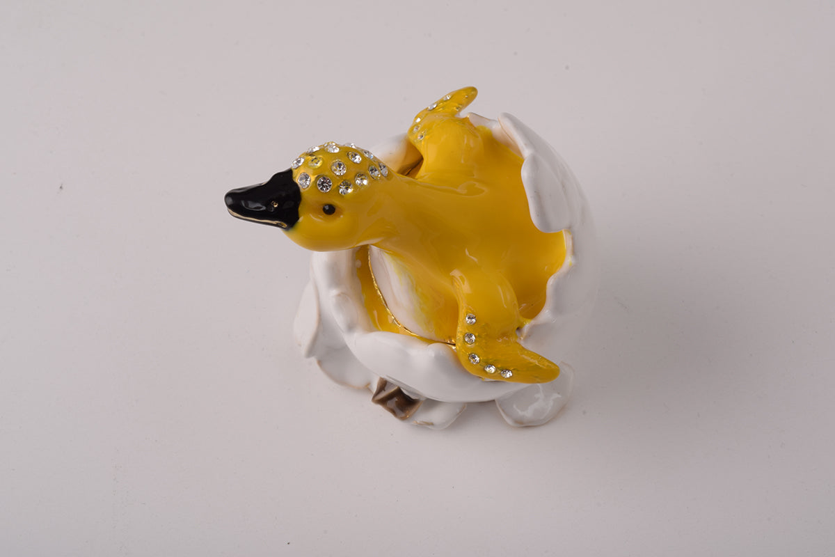 Duck Coming out of Eggshell