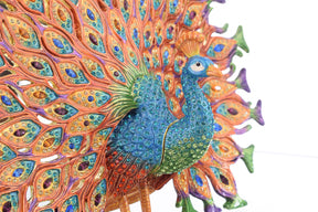 Colorful Peacock