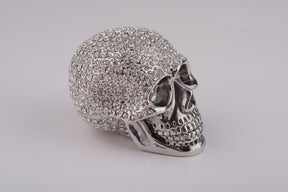 Silver Decorated Skull