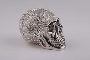 Silver Decorated Skull