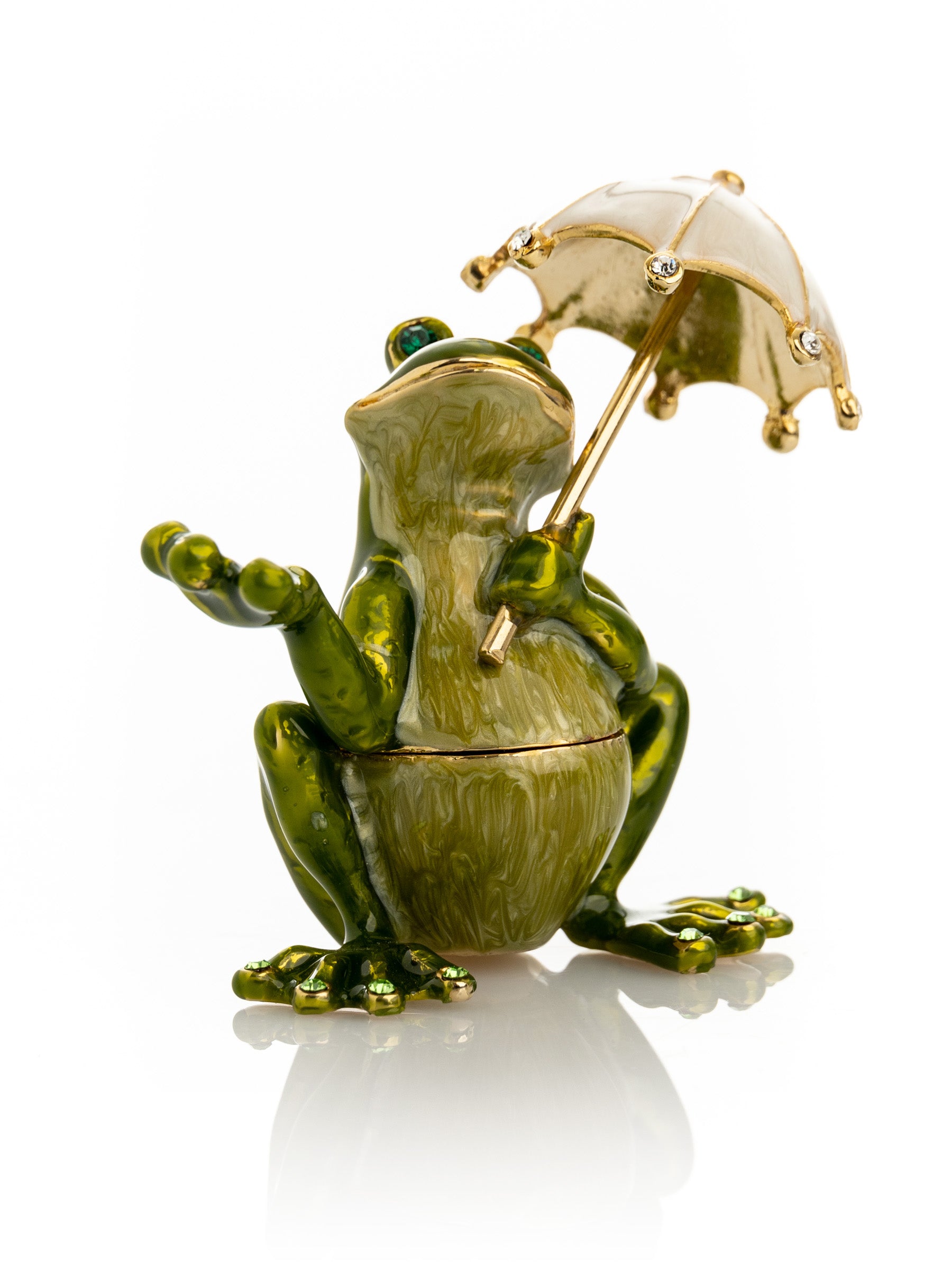 Frog holding an umbrella