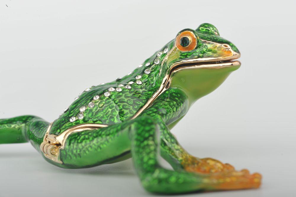 Flexible Green Frog  Keren Kopal