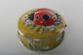 Green Box with Red Ladybug  Keren Kopal