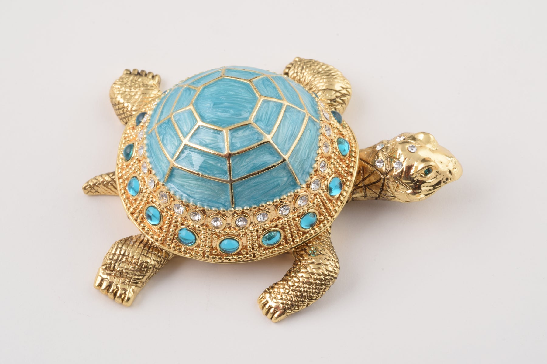 Blue Turtle