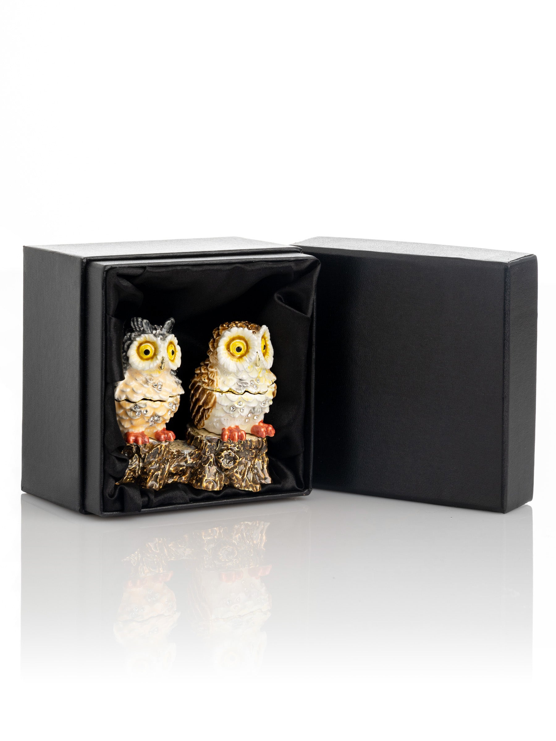 Two Owls Sitting on Tree Trunk