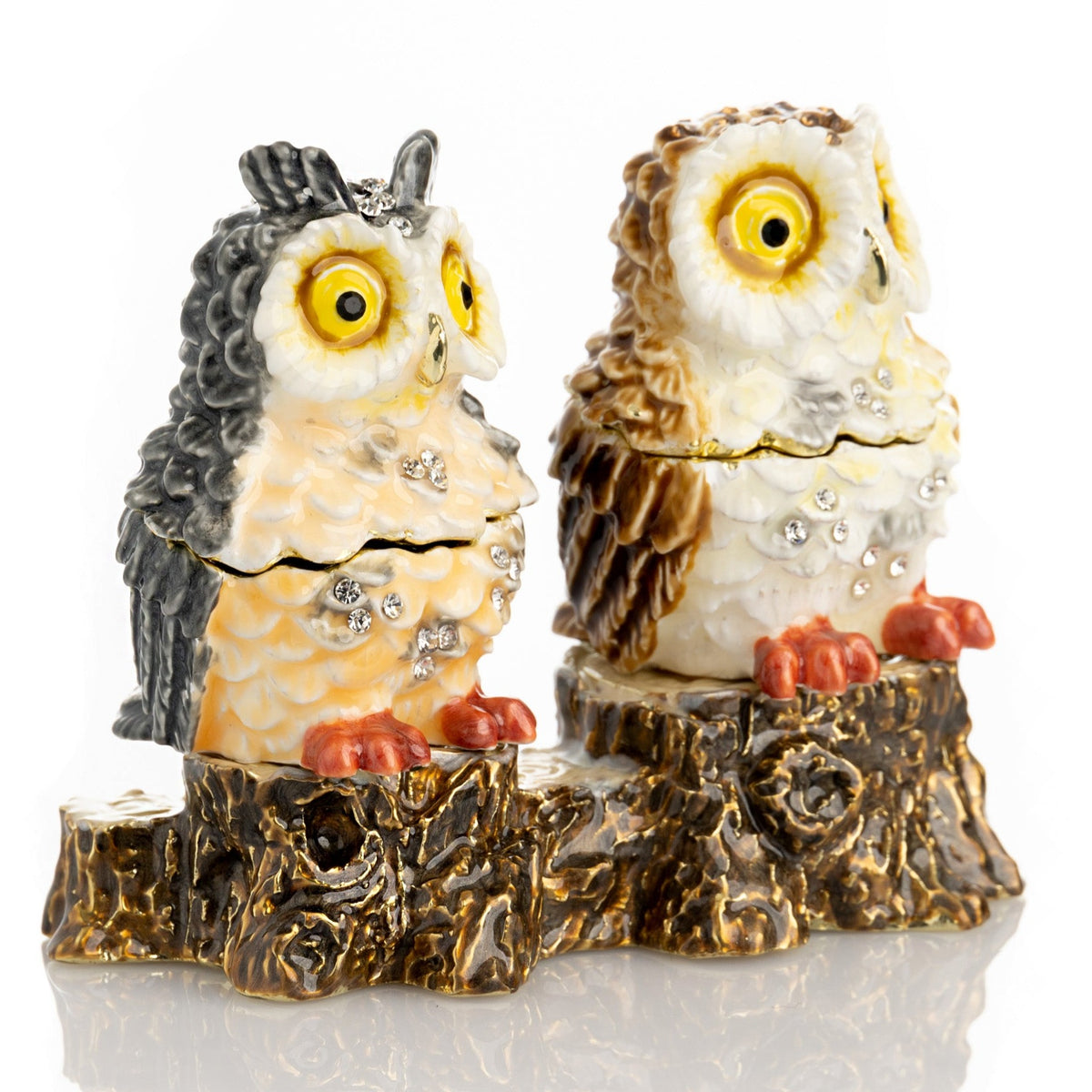 Two Owls Sitting on Tree Trunk