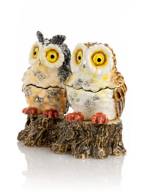 Two Owls Sitting on Tree Trunk