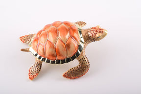 Red Sea Turtle  Keren Kopal